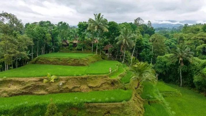 Satu Lingkung Hotel Tetebatu Ngoại thất bức ảnh