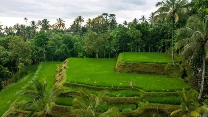Satu Lingkung Hotel Tetebatu Ngoại thất bức ảnh