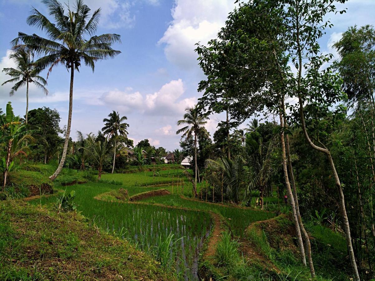 Satu Lingkung Hotel Tetebatu Ngoại thất bức ảnh